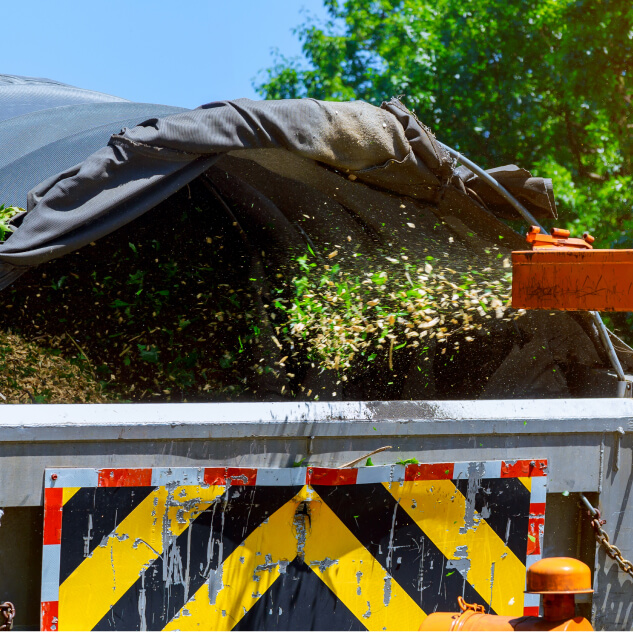 wywóz gałęzi Łódź